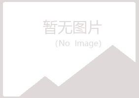 白山伤口音乐有限公司